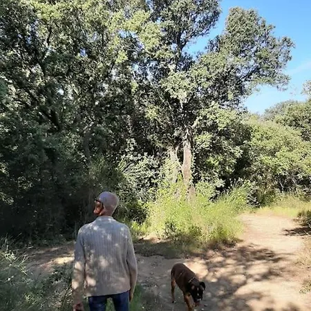 Entre Lac, Riviere Et Le Pouget
